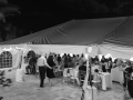 Maddy-Larrys-Wedding-Day_Reception-45
